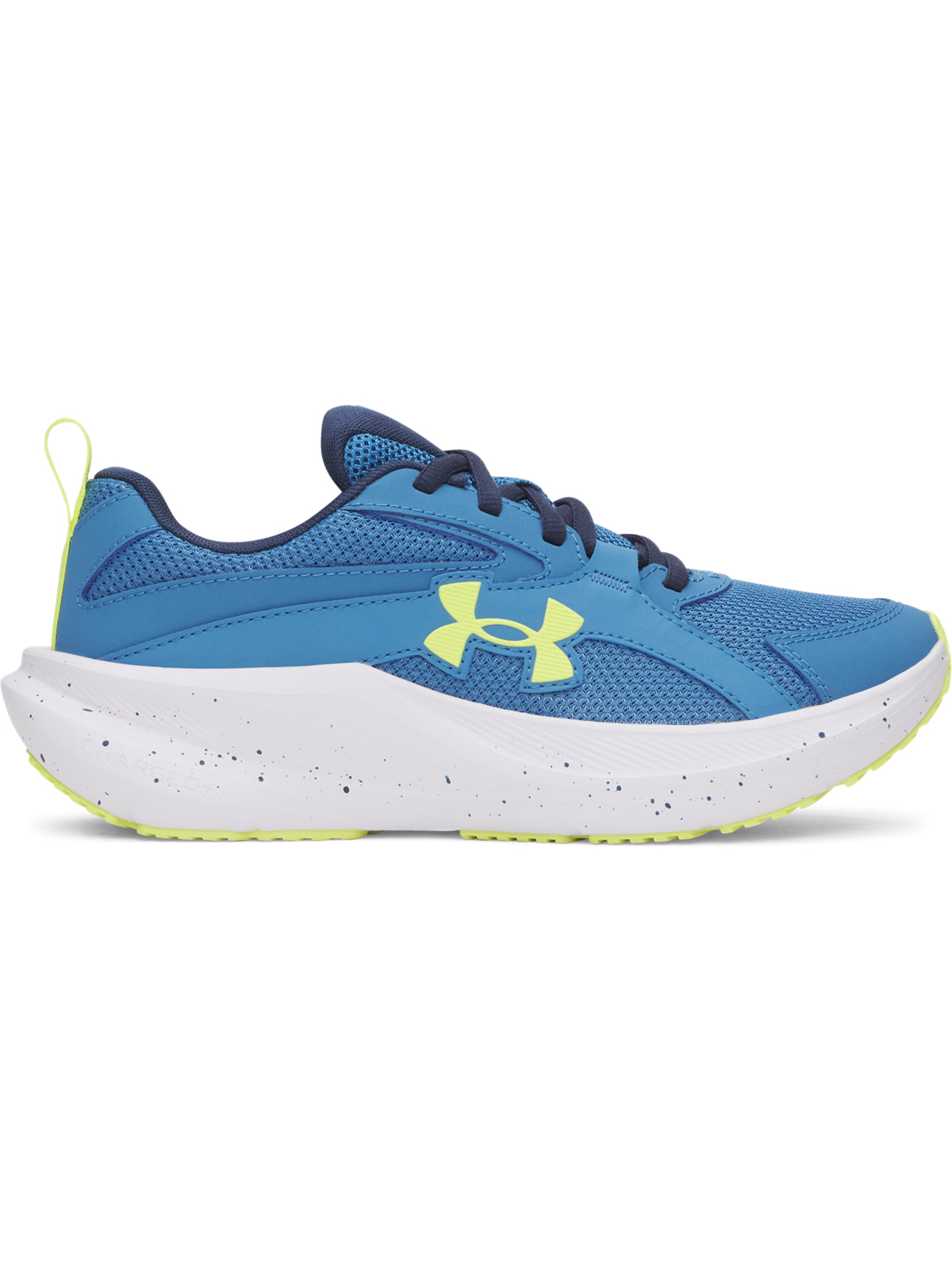 UA BGS ASSERT 11