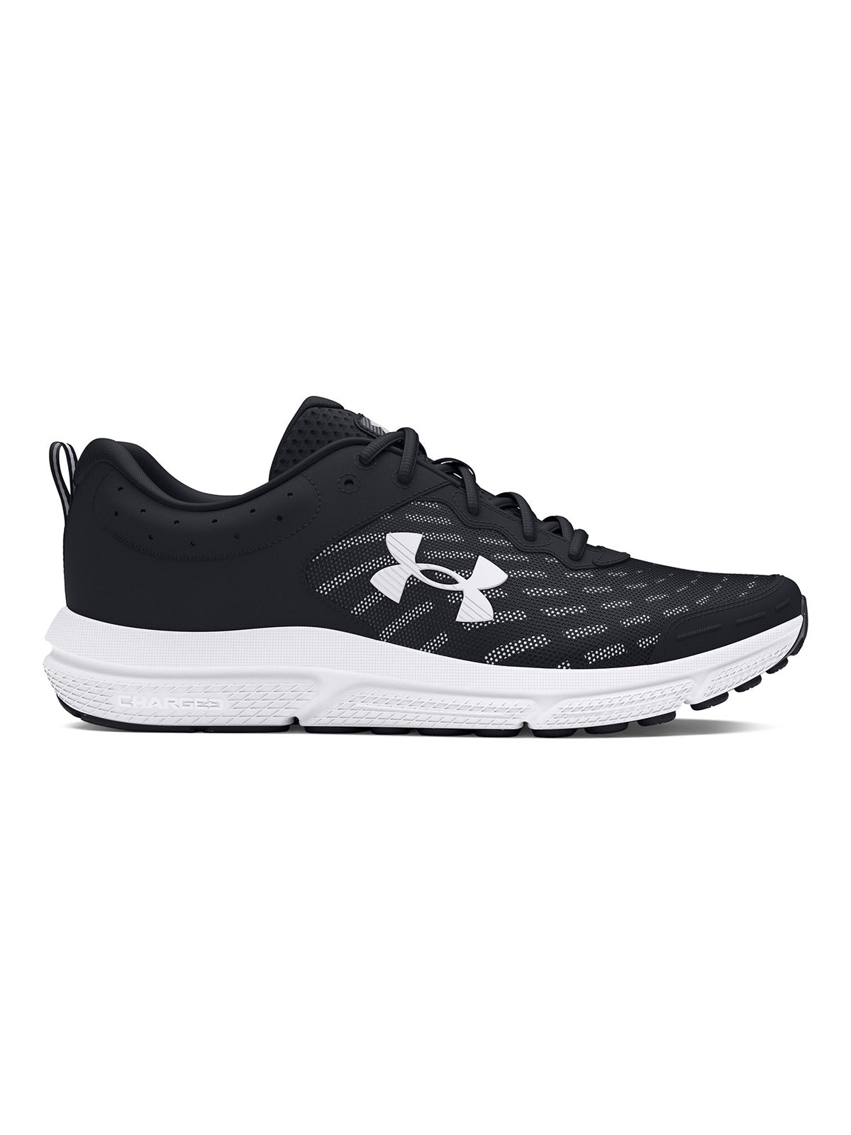 UA CHARGED ASSERT 10