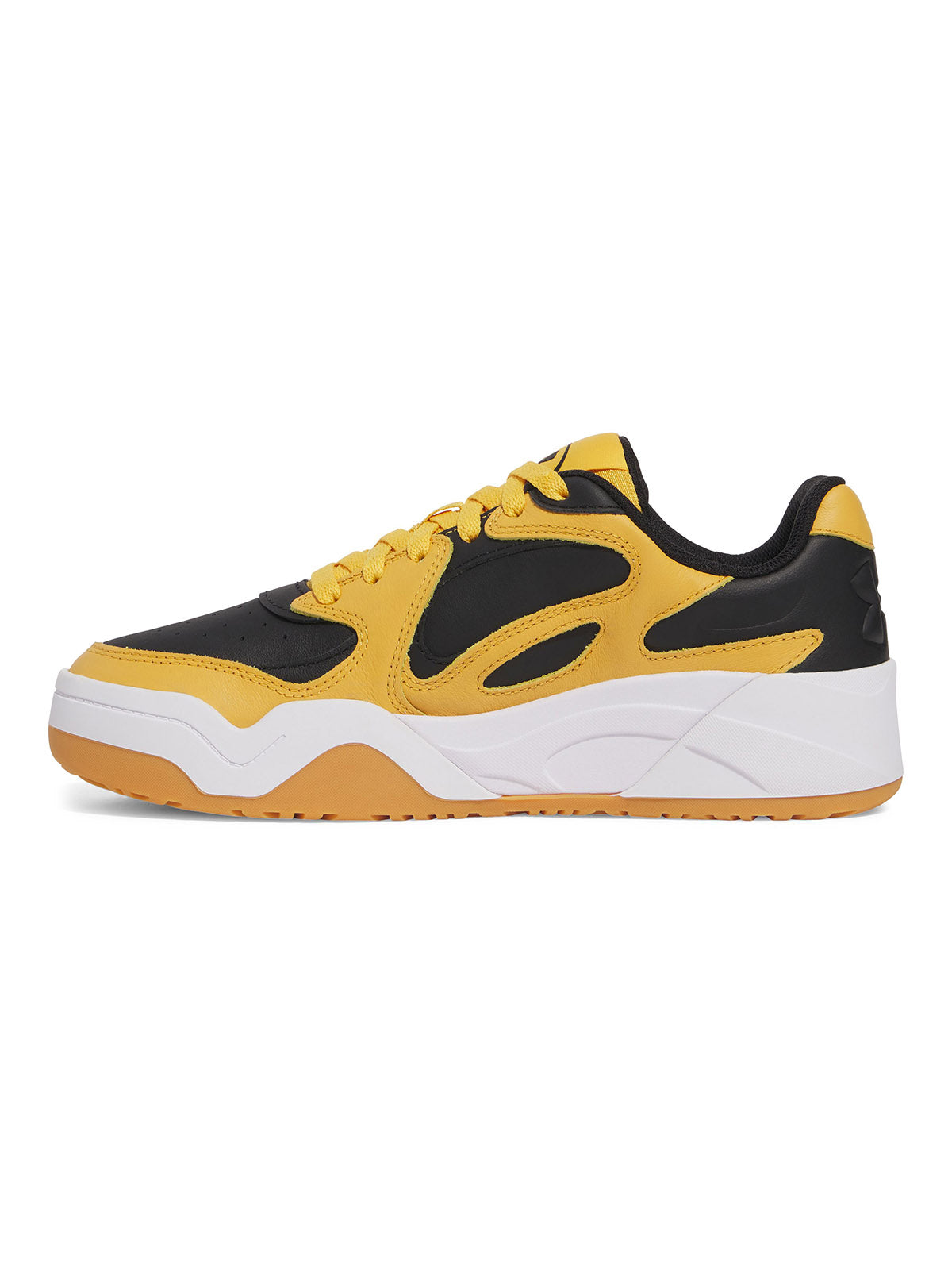 UA U COURT ANATOMIX