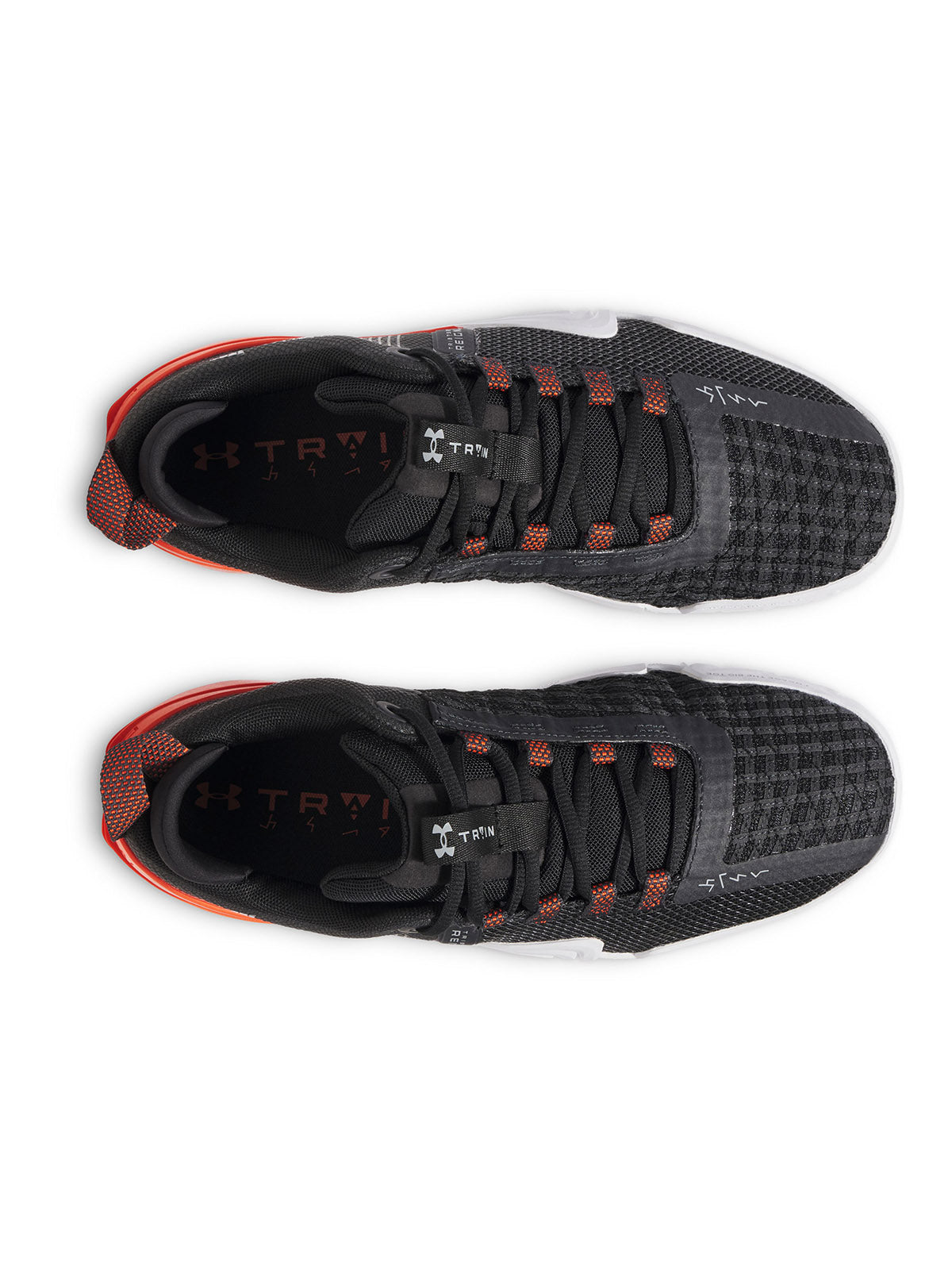 UA TRIBASE REIGN 6