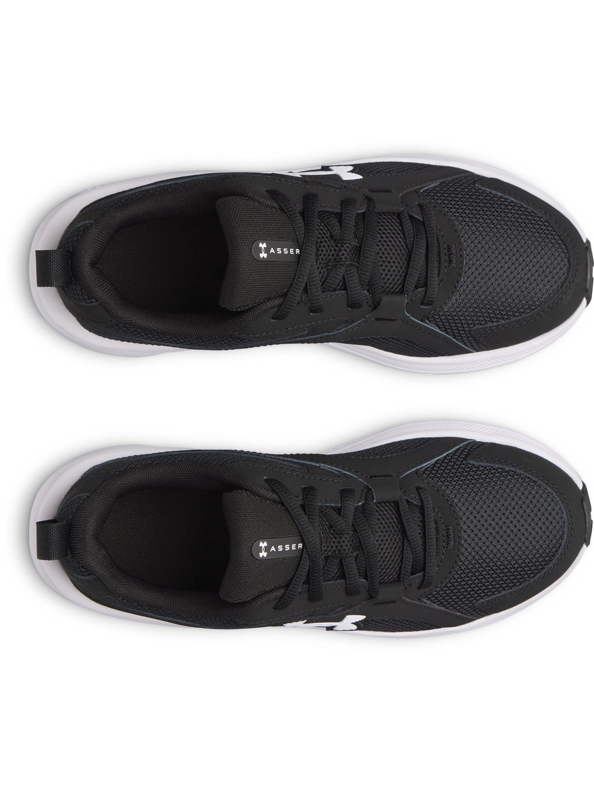 UA BGS ASSERT 11