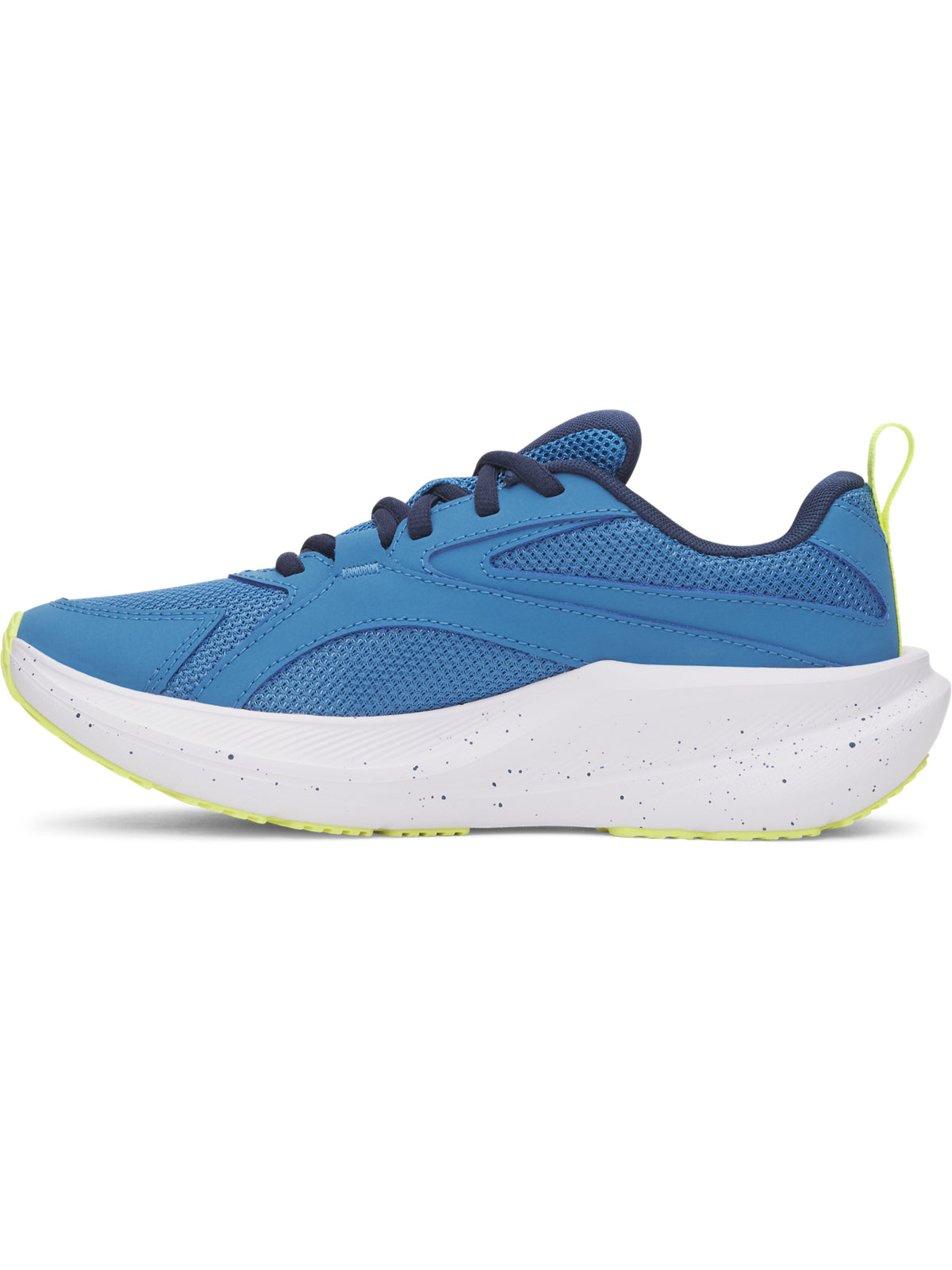 UA BGS ASSERT 11