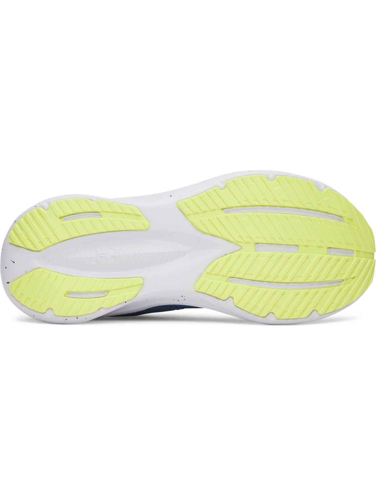 UA BGS ASSERT 11