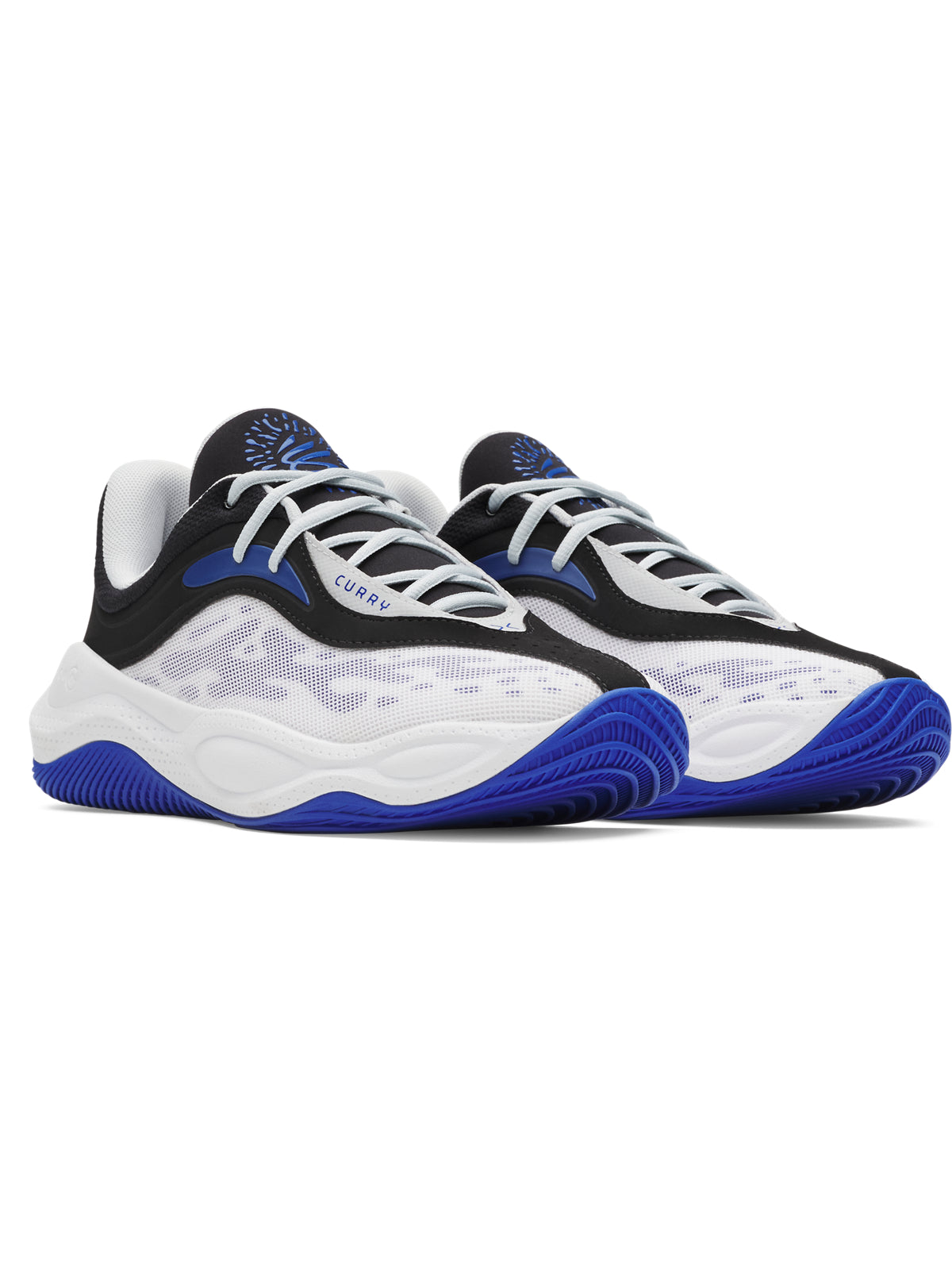 CURRY SPLASH 25