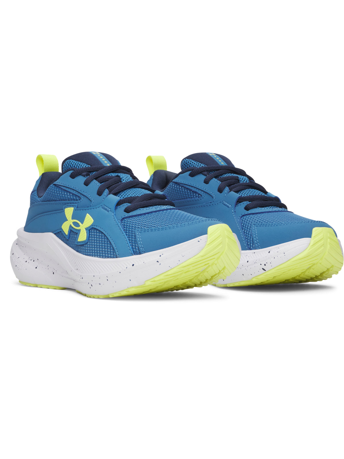 UA BGS ASSERT 11