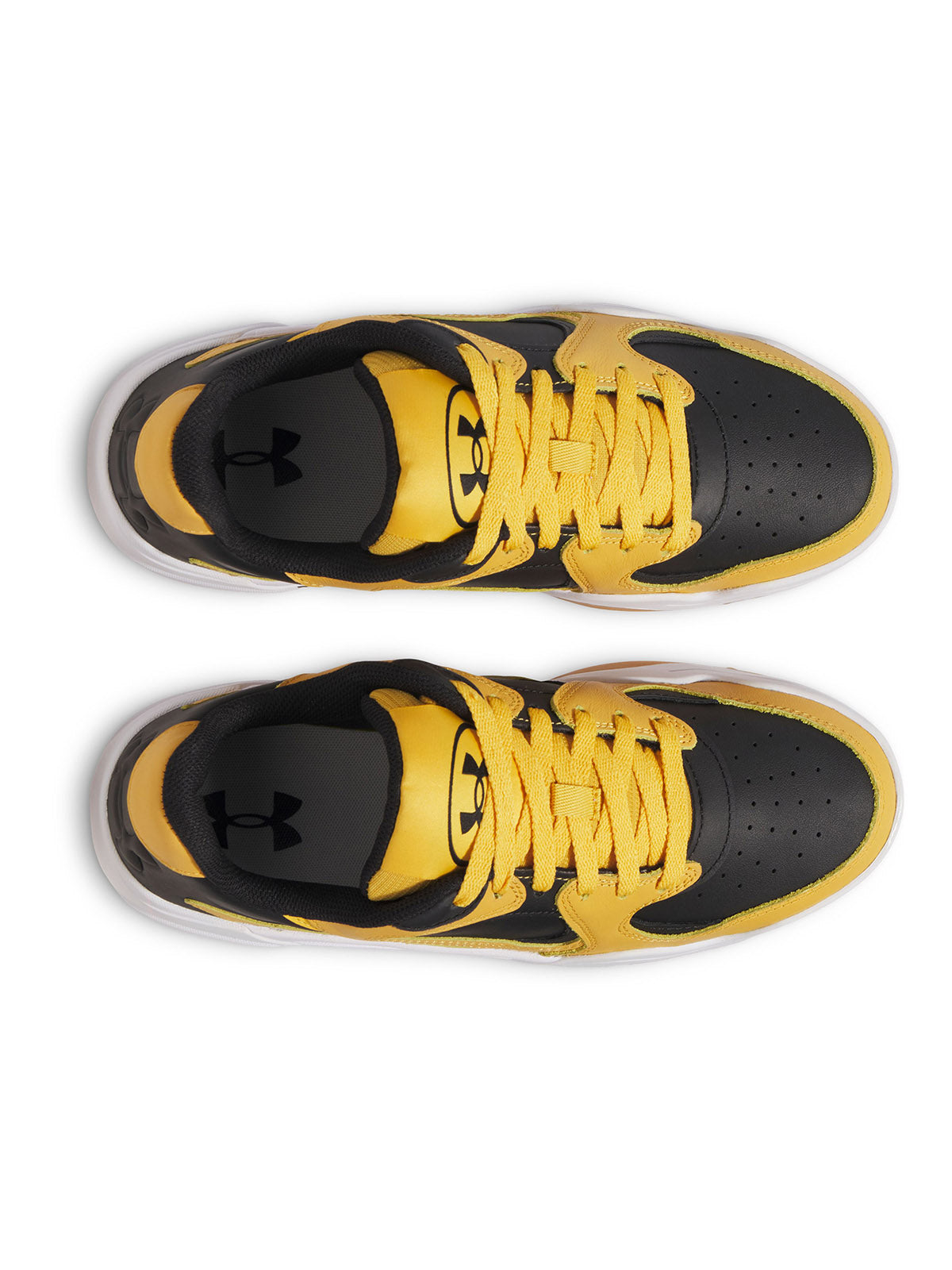 UA U COURT ANATOMIX