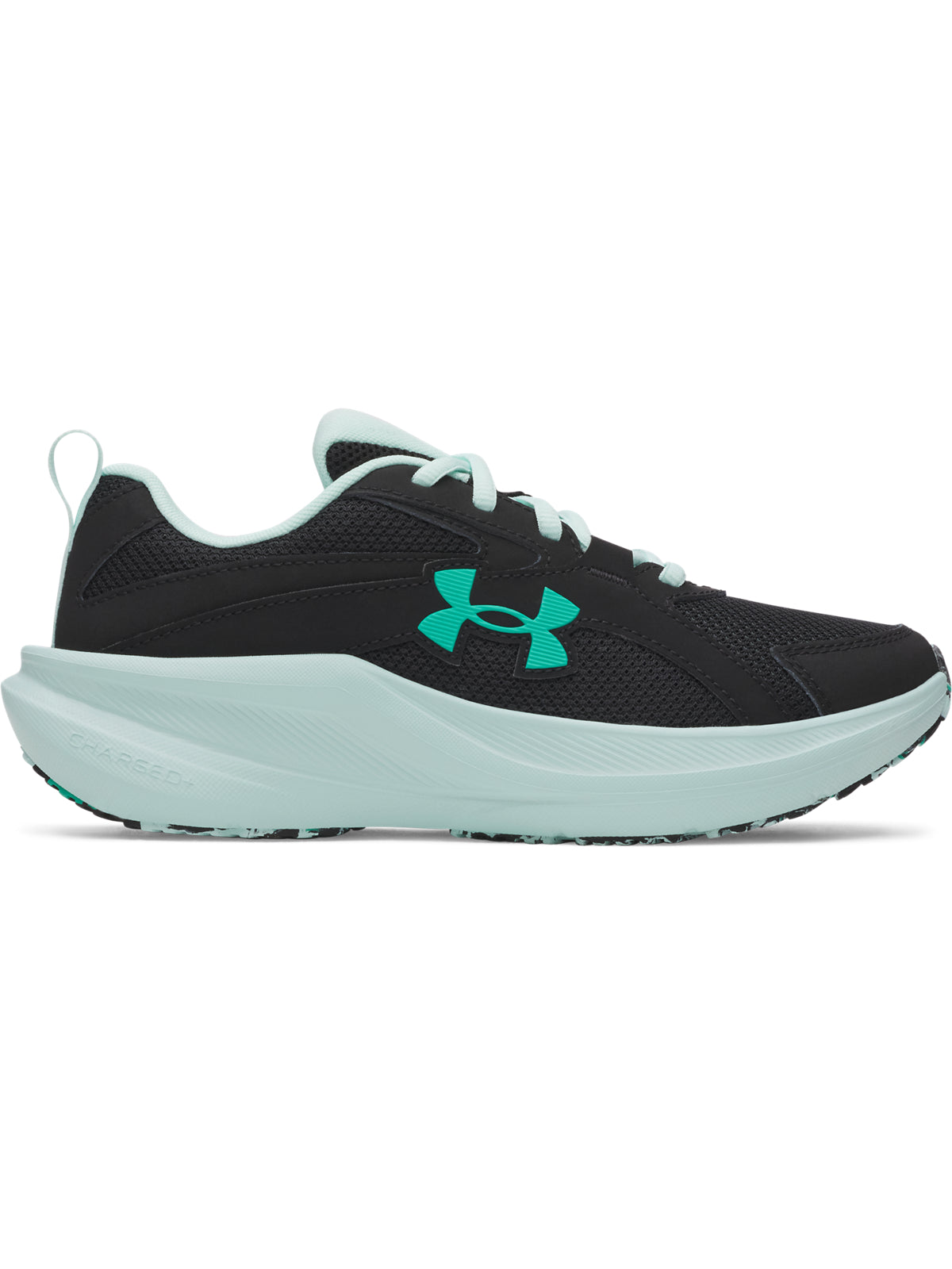 UA GGS ASSERT 11