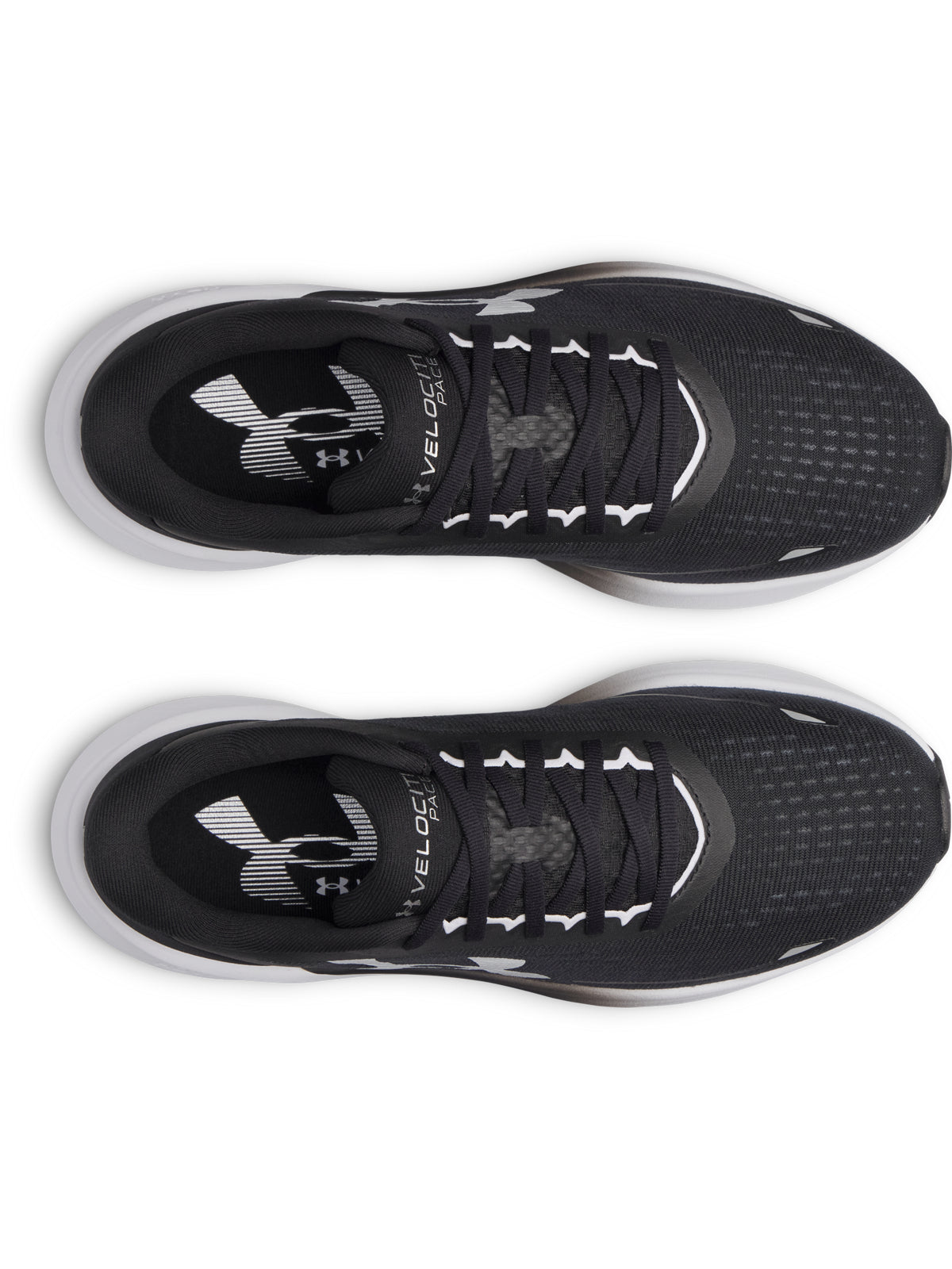 UA VELOCITI PACE