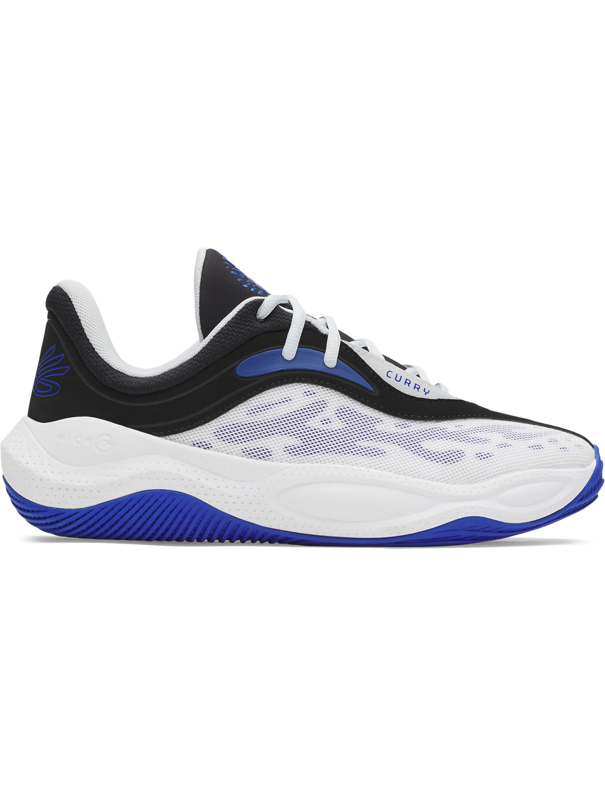 CURRY SPLASH 25