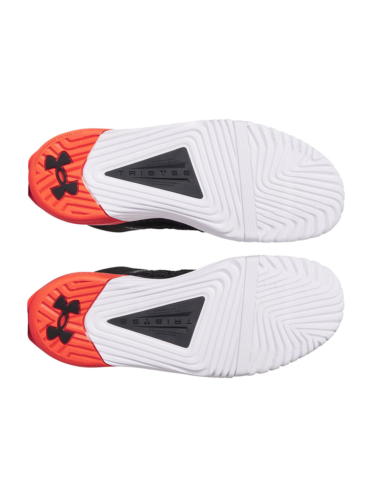 UA TRIBASE REIGN 6