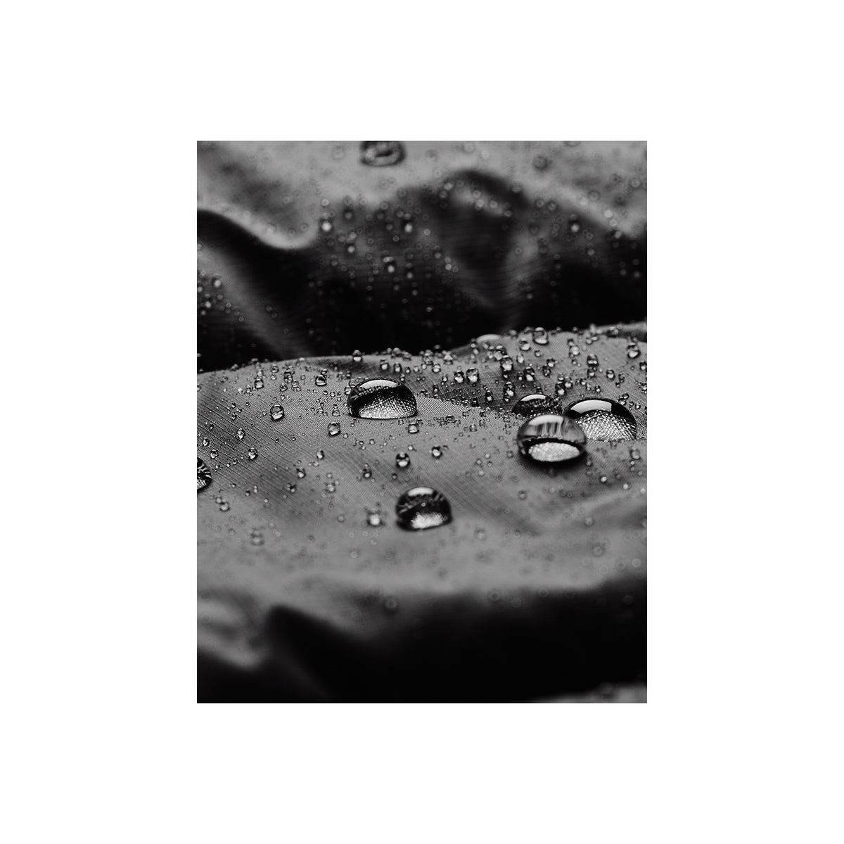 LW INSULATE JACKET