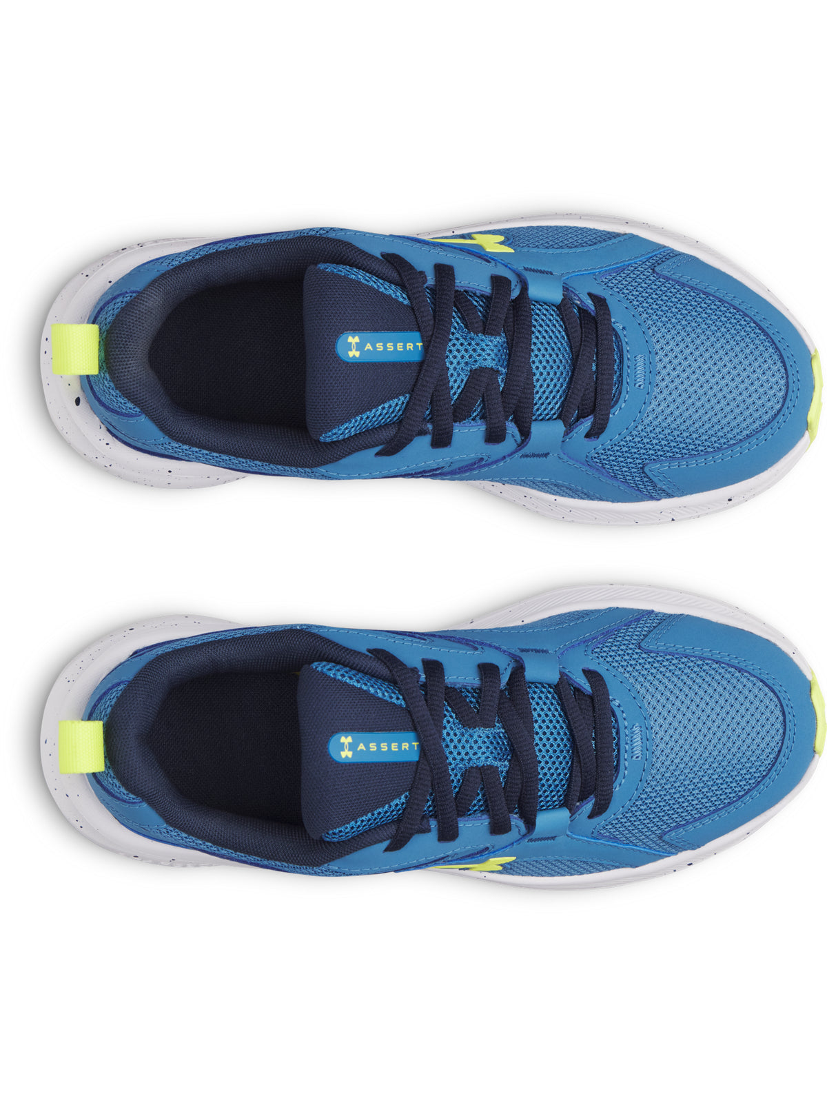 UA BGS ASSERT 11