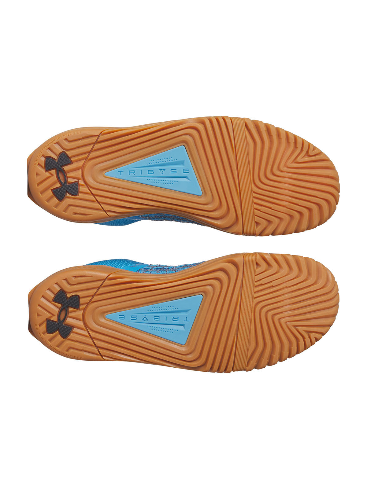 UA TRIBASE REIGN 6