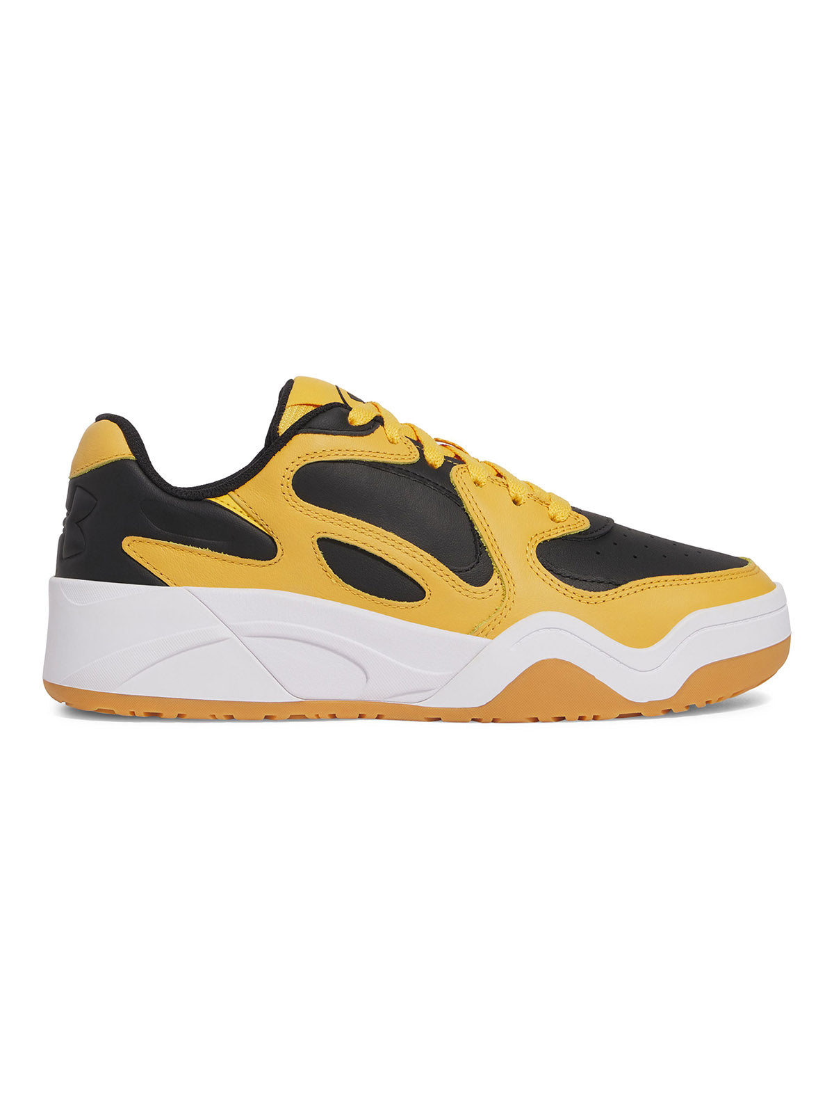 UA U COURT ANATOMIX