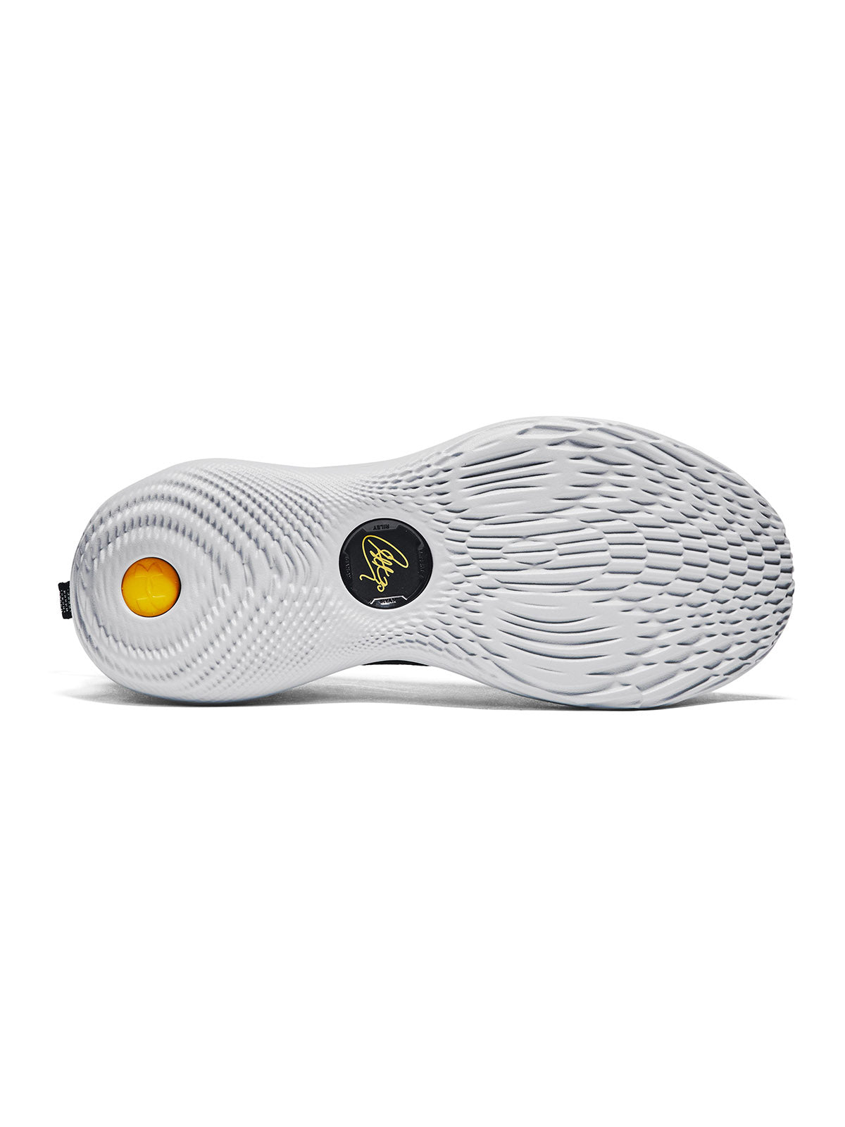 CURRY 12 WMDE