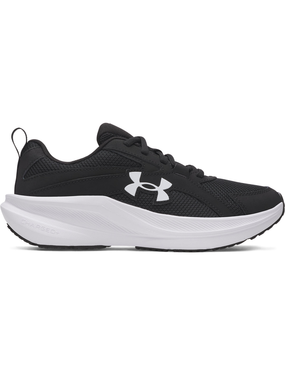 UA BGS ASSERT 11