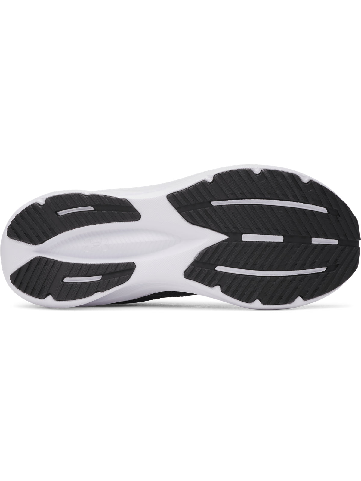 UA BGS ASSERT 11