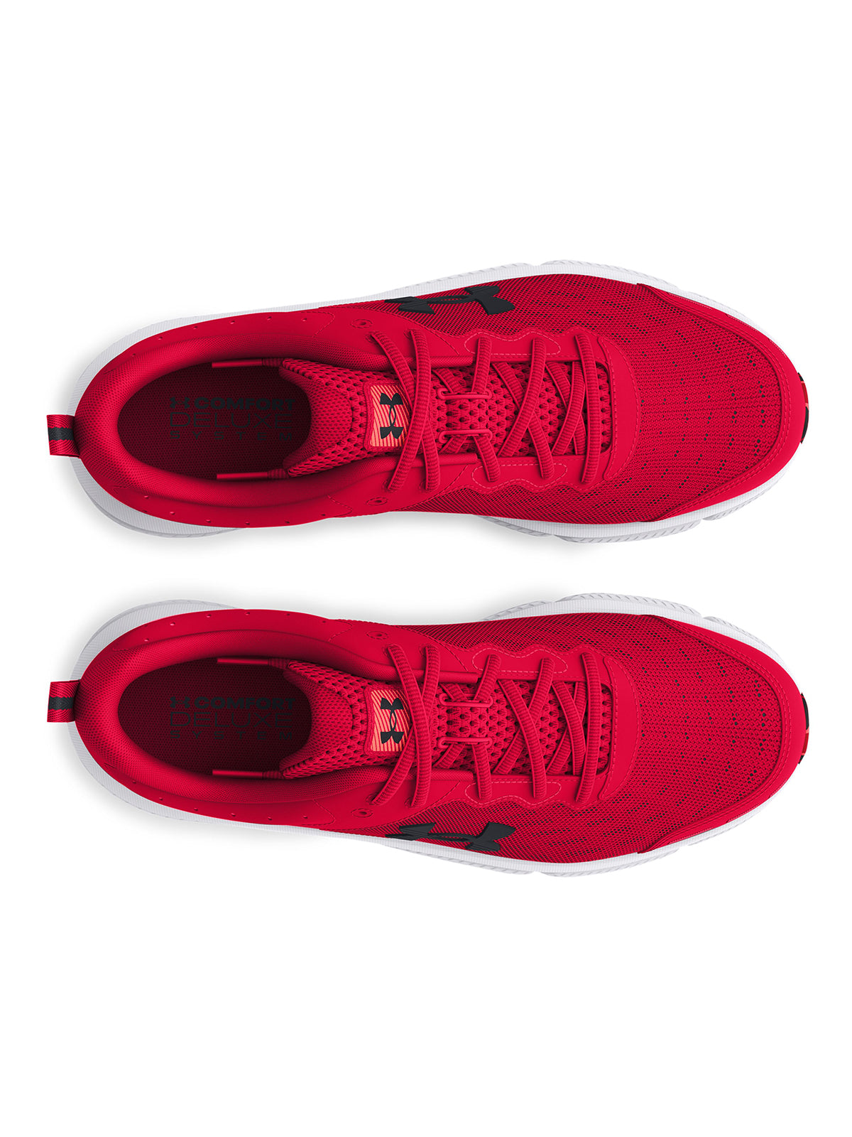 UA CHARGED ASSERT 10